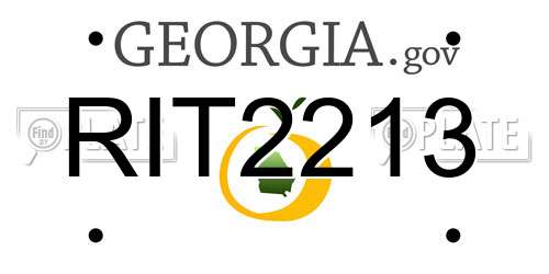 RIT2213 Georgia License Plate