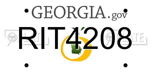 RIT4208 Georgia License Plate