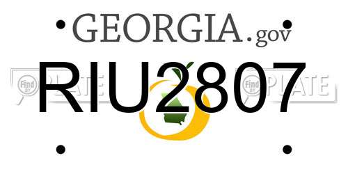 RIU2807 Georgia License Plate