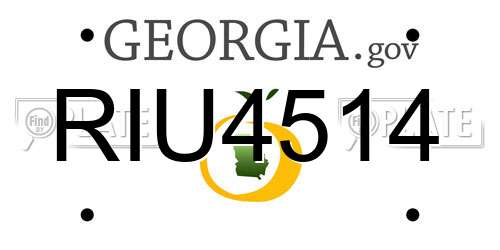 RIU4514 Georgia License Plate
