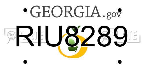 RIU8289 Georgia License Plate