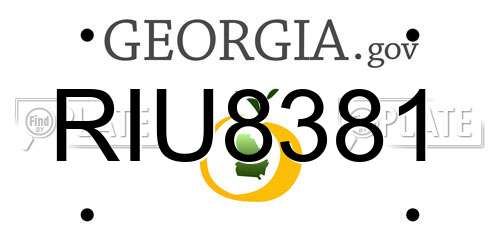 RIU8381 Georgia License Plate