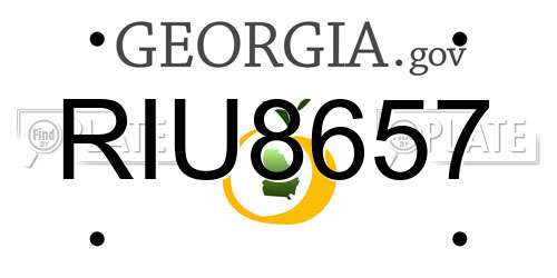 RIU8657 Georgia License Plate