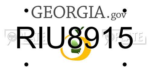 RIU8915 Georgia License Plate