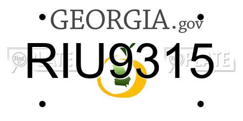 RIU9315 Georgia License Plate
