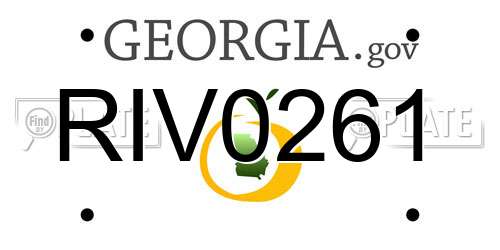 RIV0261 Georgia License Plate