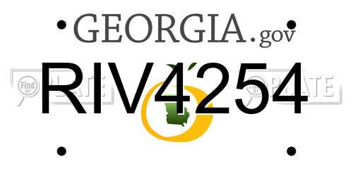 RIV4254 Georgia License Plate