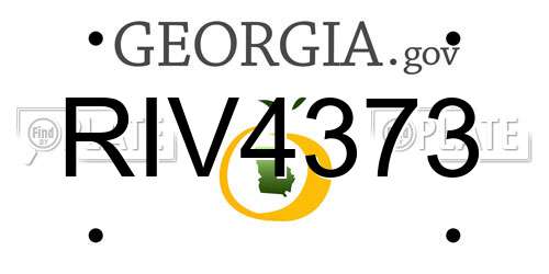 RIV4373 Georgia License Plate