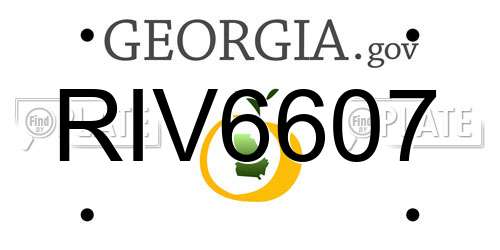 RIV6607 Georgia License Plate