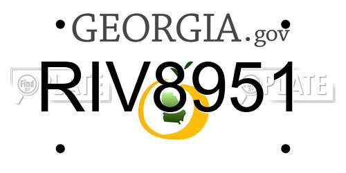 RIV8951 Georgia License Plate