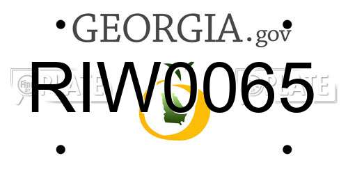 RIW0065 Georgia License Plate
