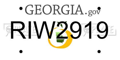 RIW2919 Georgia License Plate