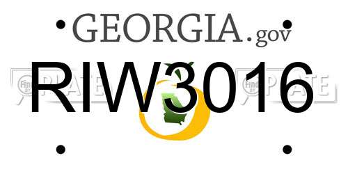 RIW3016 Georgia License Plate