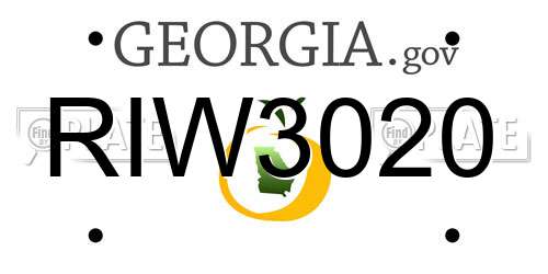 RIW3020 Georgia License Plate