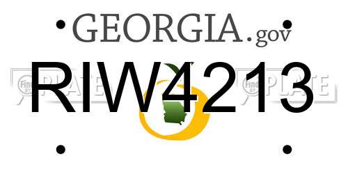 RIW4213 Georgia License Plate
