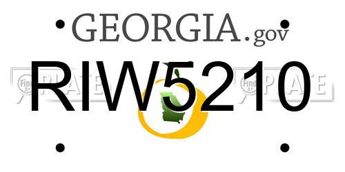 RIW5210 Georgia License Plate