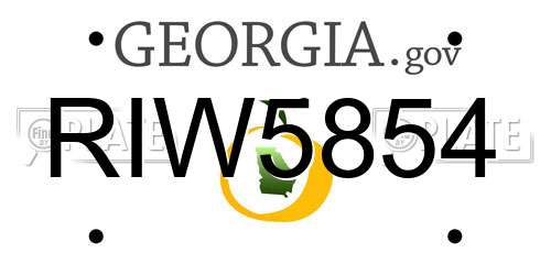RIW5854 Georgia License Plate