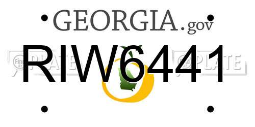 RIW6441 Georgia License Plate
