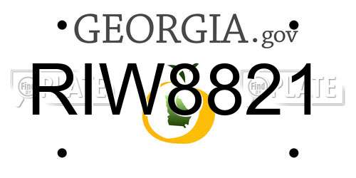 RIW8821 Georgia License Plate