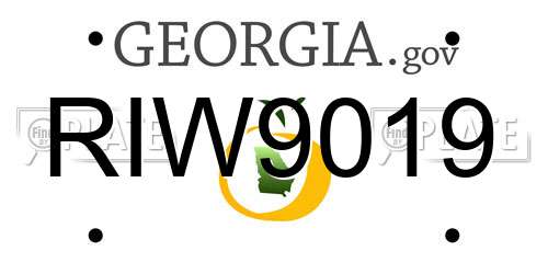 RIW9019 Georgia License Plate