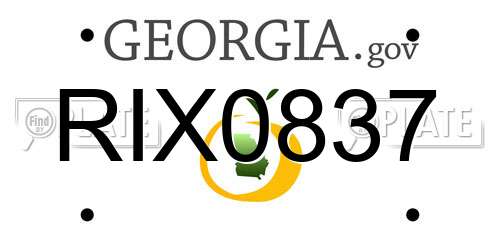 RIX0837 Georgia License Plate