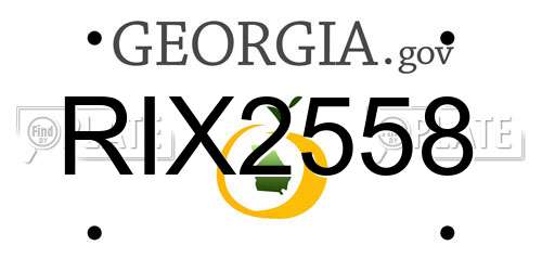 RIX2558 Georgia License Plate