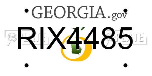 RIX4485 Georgia License Plate