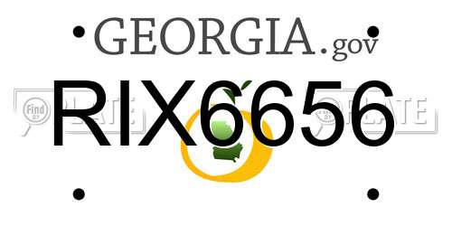 RIX6656 Georgia License Plate