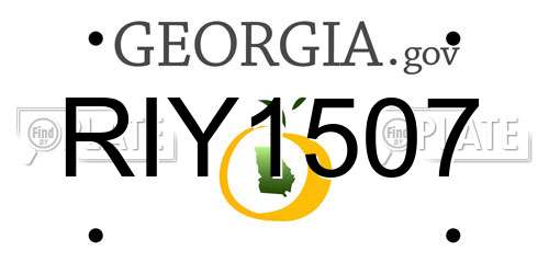 RIY1507 Georgia License Plate