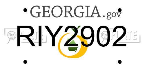 RIY2902 Georgia License Plate