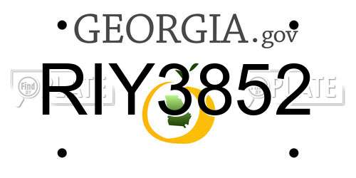 RIY3852 Georgia License Plate