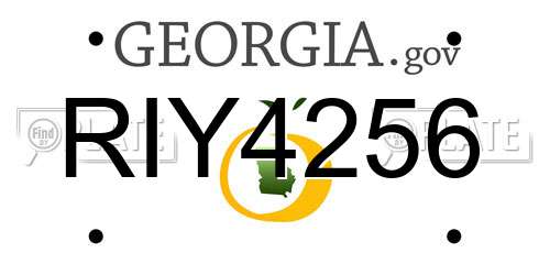 RIY4256 Georgia License Plate