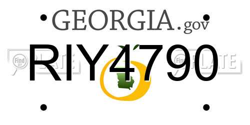 RIY4790 Georgia License Plate