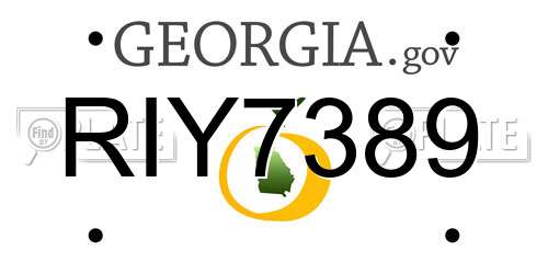 RIY7389 Georgia License Plate