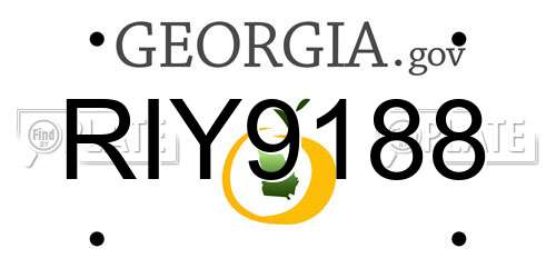 RIY9188 Georgia License Plate