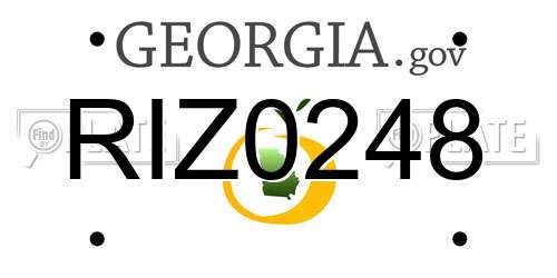 RIZ0248 Georgia License Plate