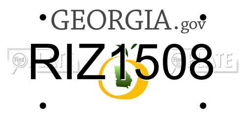 RIZ1508 Georgia License Plate
