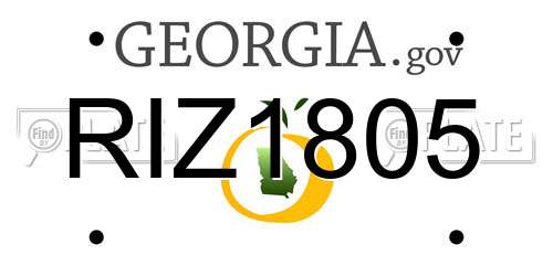 RIZ1805 Georgia License Plate