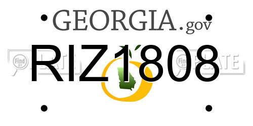 RIZ1808 Georgia License Plate