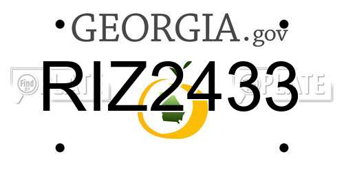 RIZ2433 Georgia License Plate