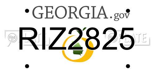 RIZ2825 Georgia License Plate