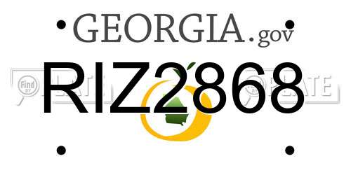 RIZ2868 Georgia License Plate