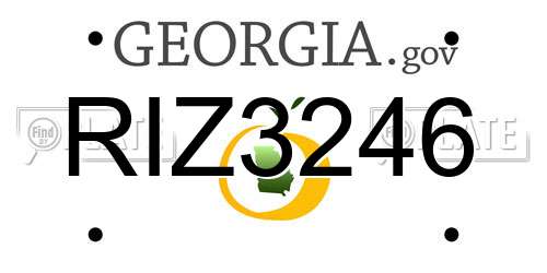 RIZ3246 Georgia License Plate