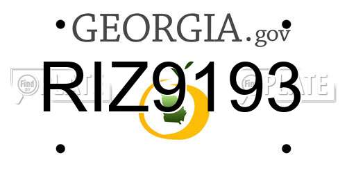 RIZ9193 Georgia License Plate