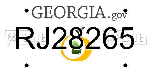 RJ28265 Georgia License Plate