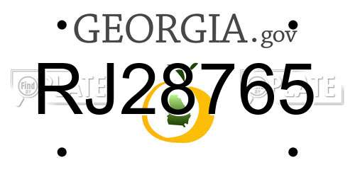 RJ28765 Georgia License Plate