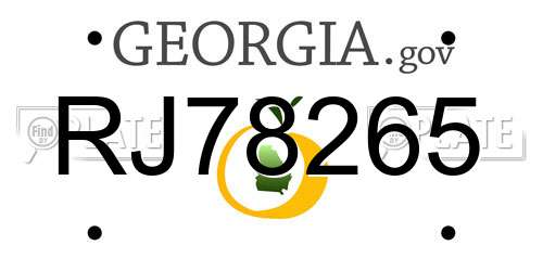 RJ78265 Georgia License Plate