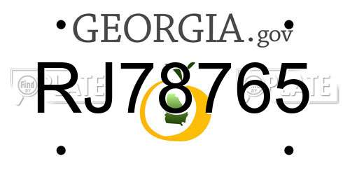 RJ78765 Georgia License Plate
