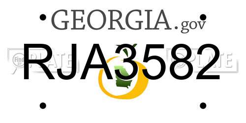 RJA3582 Georgia License Plate