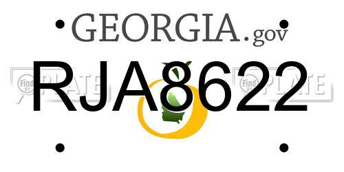 RJA8622 Georgia License Plate